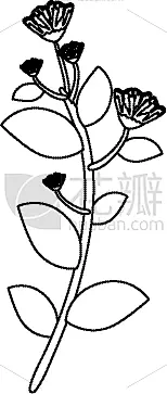枝,叶子,可爱的,华丽的,植物群,自然美,植物,花,爱,剪影