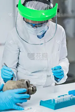 Bioarcheology。考古学家在实验室分析远古人类的头骨