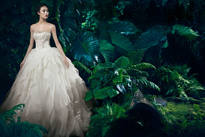 Vera Wang | Wedding ...