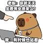 假如和老板说真话…… - 小红书