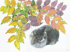 穆翯采集到猫