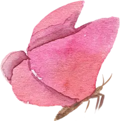 手绘水彩花环小鸟婚礼LOGO请柬卡片PSD源文件PNG免抠设计元素素材