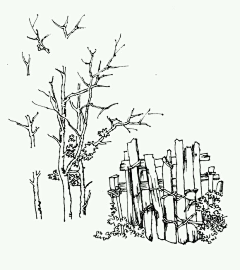 Puya2采集到绘画