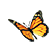 蝴蝶gif