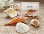 Shells by the Sea Authentic Shell Place card Holders ZH006    #adventure begin# #wedding souvenir# #婚礼钥匙圈# #海洋婚礼# #考试奖励# http://asianfavors.taobao.com  