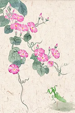 古风水墨淡彩牵牛花插画