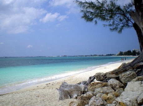 海滩, 海, 滨, 户外, 砂, 岩