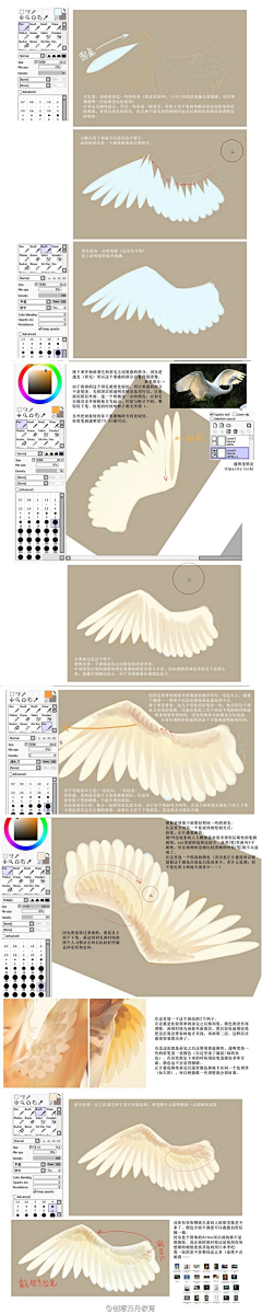 谓我(●—●)采集到绘画资料