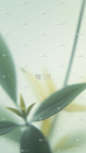春天春节梦幻蒙版植物花卉背景元素素材