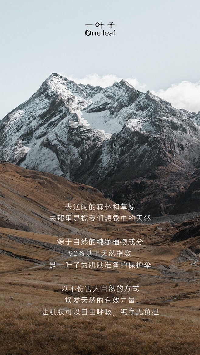 @一叶子 的个人主页 - 微博