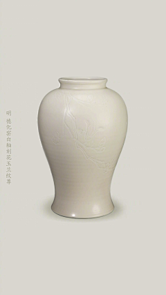 头凉的小白采集到杂识