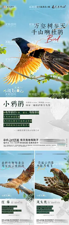 地产鸟类观测科普海报  - 源文件下载【酷图网】海报,地产,鸟类,观测,科普,动物,实景,文旅,度假,