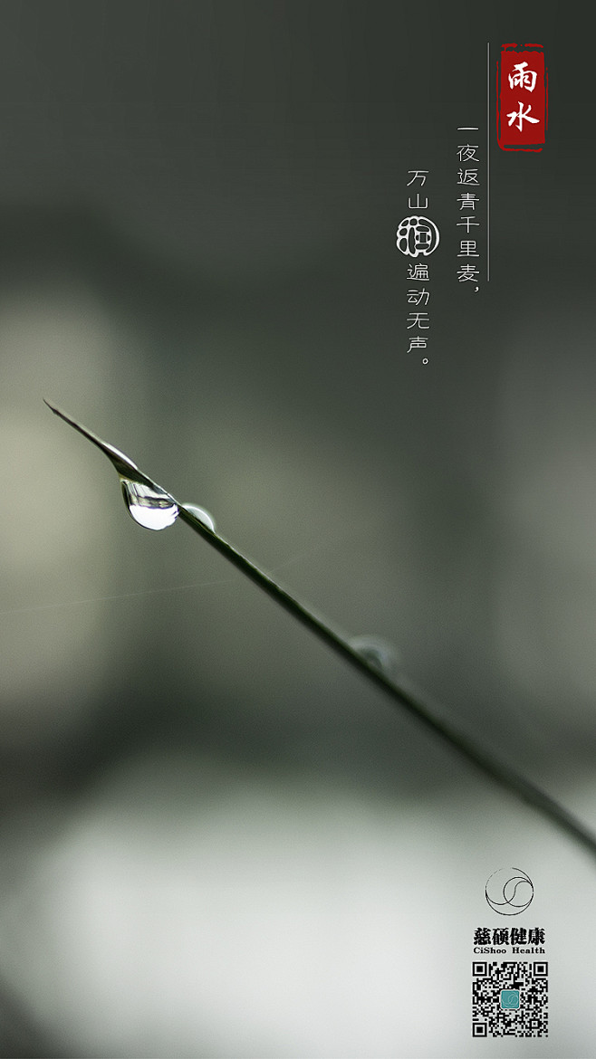微信推广图（雨水）
