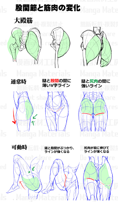 吃鱼的时候不要说话采集到J-角色-人体-肌肉运动原理