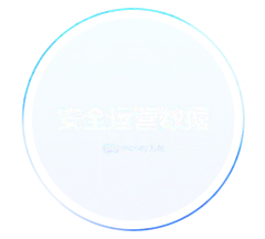 安全征信运营报告