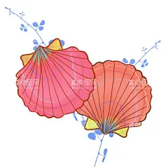 海洋生物贝壳插画   - 源文件下载【酷图网】小清新素材,贝壳,装饰素材,贝壳素材,贝壳插画,贝壳装饰,手绘贝壳,扇贝,蚌壳,唯美贝壳,原创插画,卡通贝壳,贝壳组合,贝壳装饰素材,手绘素材