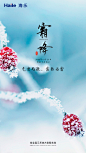 时间过得很快  一下子霜降就到了