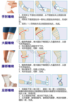蜡笔小旧77采集到亚马逊