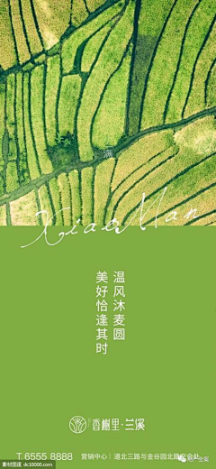 没离开过AI采集到小满