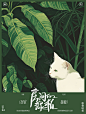 猫咪 绿色海报  猫咪海报 版权归属大峰