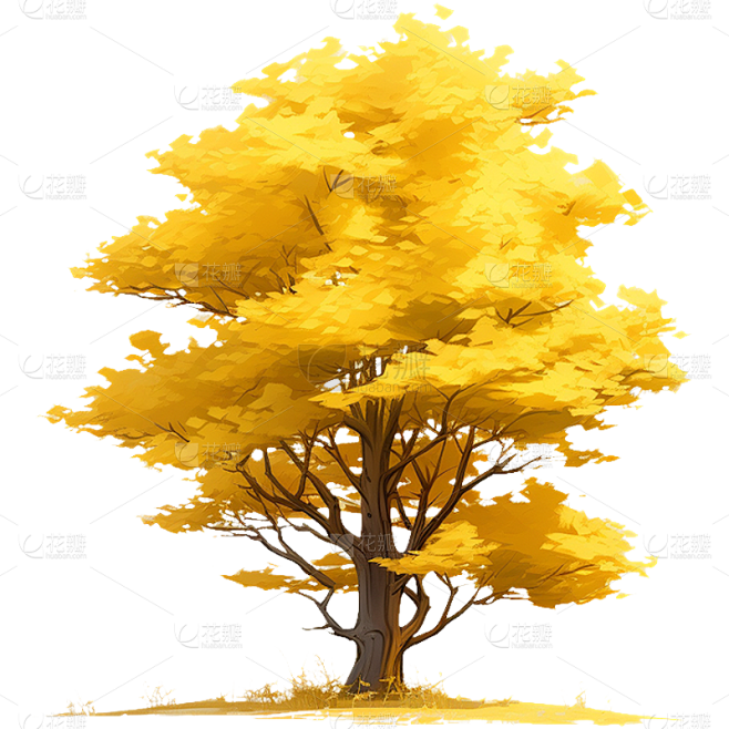 秋季秋天手绘插画植物树木