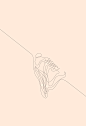 One line - Memorable sneakers : Some of the sneakers that marked our youth, drawn in continuous lines. Yay !
