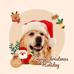 Christmas Seasonal Greetings Profile Picture Templates