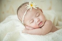 陶陶儿童摄影采集到totobaby