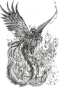动物 png