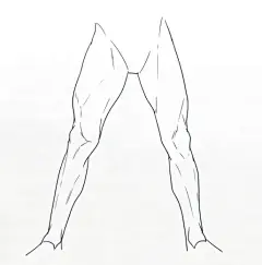 腿部素材