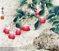 【工笔画 ---- 牵牛花】