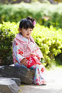和服,日本,女孩,衣服,可爱的,传统,肖像,传统节日,儿童,亚洲人种