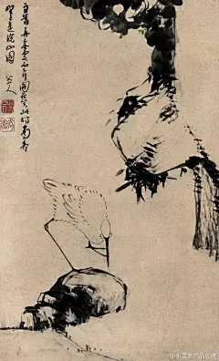 #清初四僧#【 清 朱耷 《鹭石图》 】轴，纸本，92.2×55.6cm。 题识：“自蓊再无处 定行阁在笑，此时雨尽，望之是皖山图，八大山人。”此幅是八大山人晚期花鸟画作品，这个时期其独特风格已经形成，物象造型更显夸张，构图和笔墨更显简略，用笔用墨更显凝重、洗练和含蓄，有所谓的“笔简形赅”之韵味。