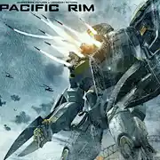一个大包