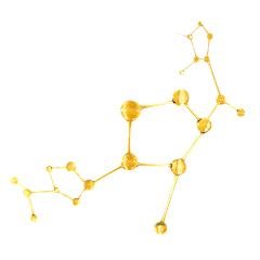 疯狂小赵采集到详情分子（细菌）