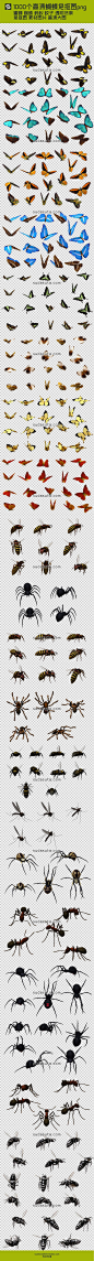 1000个蝴蝶png蜜蜂 蜘蛛 蚂蚁 蚊子 透明背景 免抠图 素材图片 高清大图@北坤人素材
