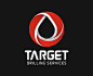 TARGET钻井公司logo设计欣赏&vi设计公司作品