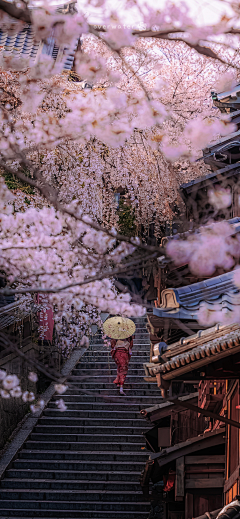蓝依あ采集到景