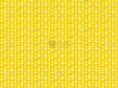 玉米,式样,纹理,平坦的,农业,黄色,蔬菜,有机食品,图像,装饰