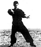 说武论道-太极拳_太极拳吧_百度贴吧