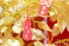 灯启新春，i在元宵——茅台葡萄酒品鉴会