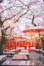 「By顺妞」关西樱花祭·你是我未偶遇那些樱花雪（300张美图，少女心一起爆炸吧）图片316,日本旅游景点,风景名胜 - 蚂蜂窝图库 - 蚂蜂窝