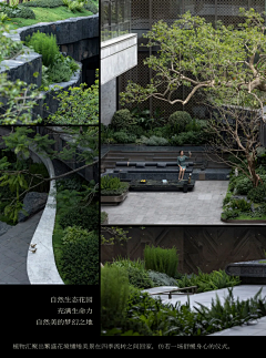 干邑白兰地采集到· Landscape ︱植物