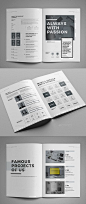 30+ InDesign Business Proposal Templates