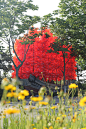 Ocean Flower Art Installation by Kong Xiangwei Studio : Daily Use as Tao
