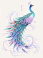 每日一画|230717|凤凰孔雀素材 - 小红书