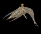 chee-fong-noisyshrimp