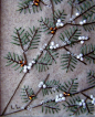 embroidery: 