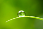 water drop photo