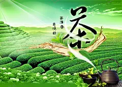 茶文化 【酷图网】茶文化海报,春茶,茶树,茶山,茶叶,茉莉花,紫砂壶,茶杯,人参,茶文化,意境幽清,春茶上市,茶叶文化,春茶上新,欢迎品鉴,新茶上市海报,新茶上市广告,新茶,春茶上市海报,新茶上市素材,新茶上市展架,茶画册,中华茶文化,茶叶画册,铁观音,普洱茶,明前茶,乌龙茶,龙井,茶道,中国风,新茶叶,好茶叶